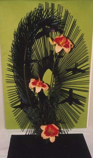 Design-B-Shirley