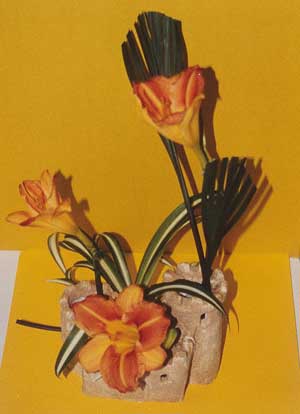 Design-Breeden