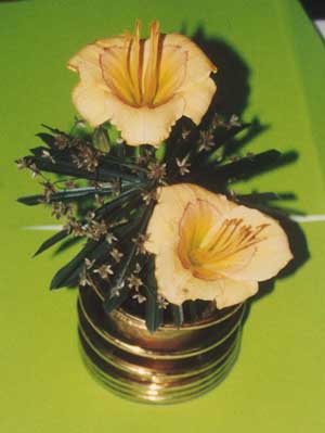 Design-Goza-2