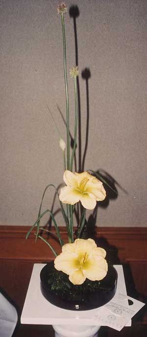Design-Shimek
