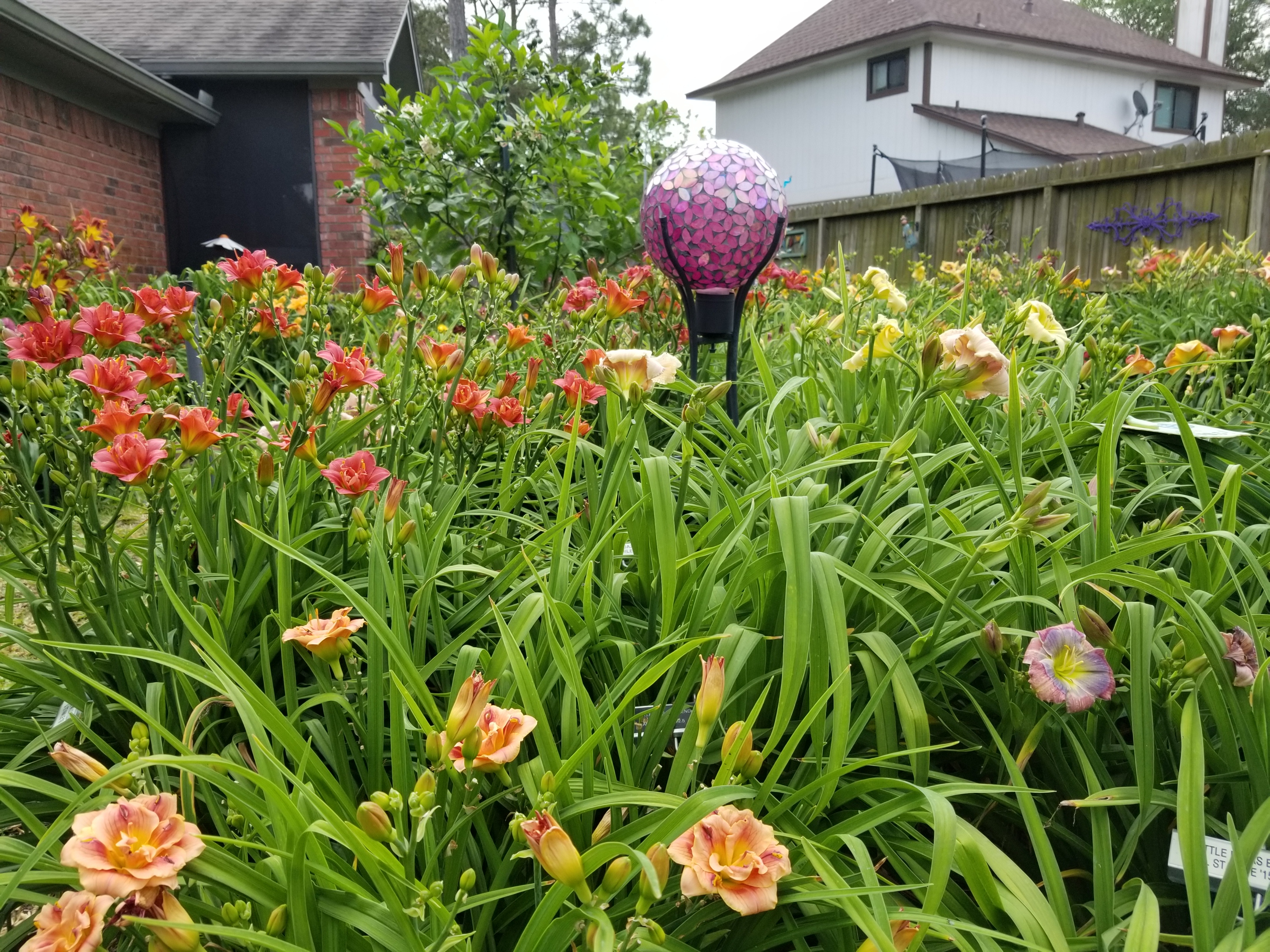 20190430_104407
